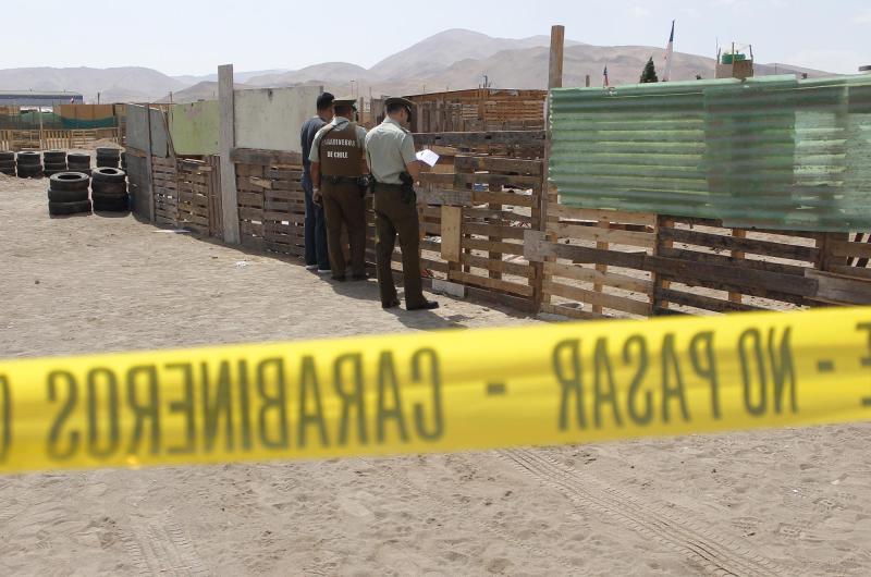 Agencia Uno - Referencial por ataque de perros en San Pedro de Atacama.