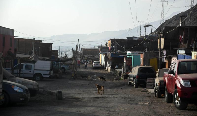 Agencia Uno - Perros Callejeros en San Pedro de Atacama