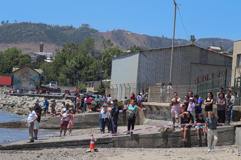 Agencia Uno - Reportan varamiento de ballena jorobada en Penco