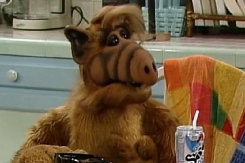 Canal 13 - Alf