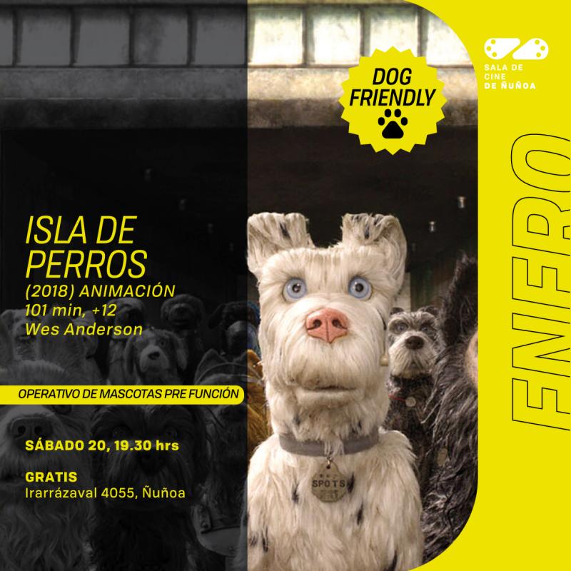 CNÑ - Al cine con tus mascotas: Ñuñoa organizará función especial para asistir con perros