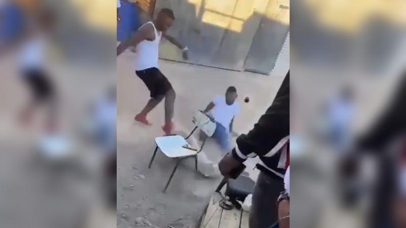 Twitter - Brutal caso de maltrato animal en Copiapó