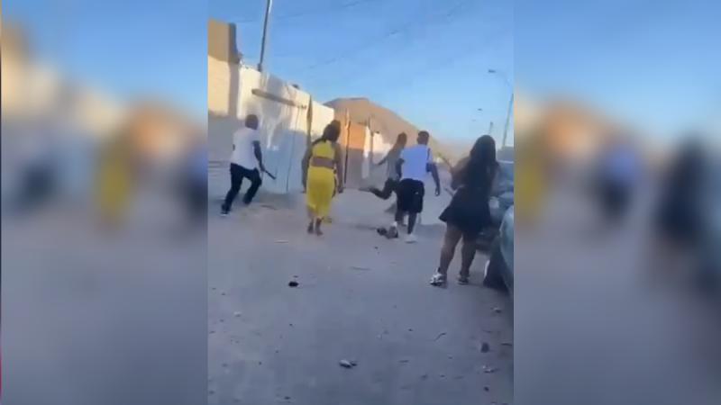 Twitter - Brutal caso de maltrato animal en Copiapó