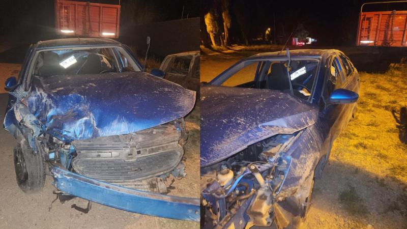 Mujer chilena murió en un accidente en Mendoza (cedida)