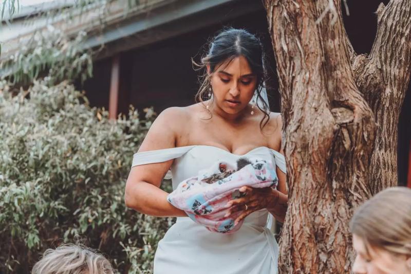 Foto: The Dodo | Novia abandonó su boda para rescatar a una zarigüeya