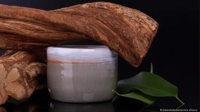 La ayahuasca es una medicina tradicional utilizada por los chamanes del Amazonas. - Eskymaks/Zoonar/picture alliance