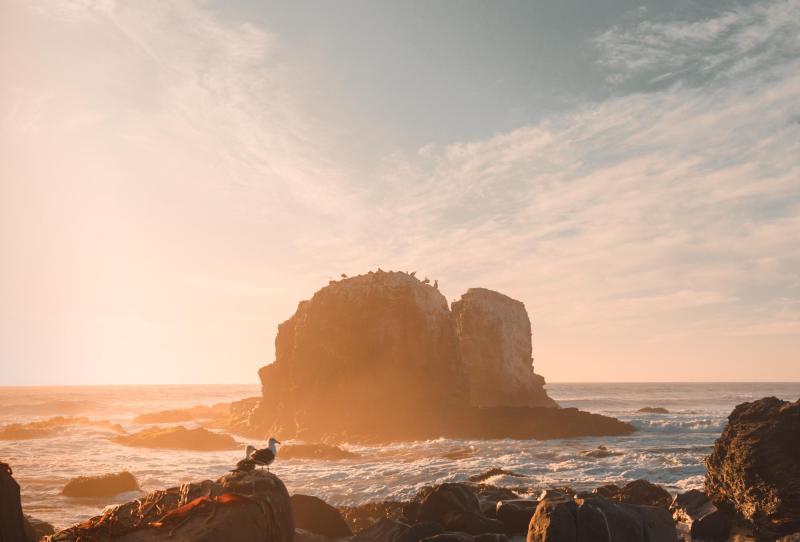 Cristián Castillo, Unsplash - Punta Lobos, Pichilemu, región de O'Higgins