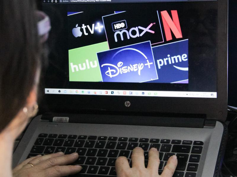 Agencia Uno - Bluey llega a Disney+