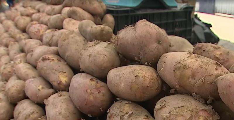 T13 - Lo que más subió de precio