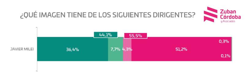 Encuestas en Argentina