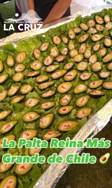 Instagram - La "Palta Reina" más grande de Chile, según La Cruz