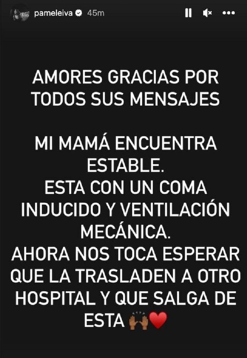 Instagram - Pamela Leiva