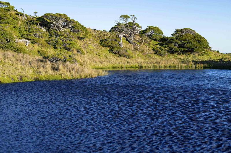 hallhall.com - Isla virgen