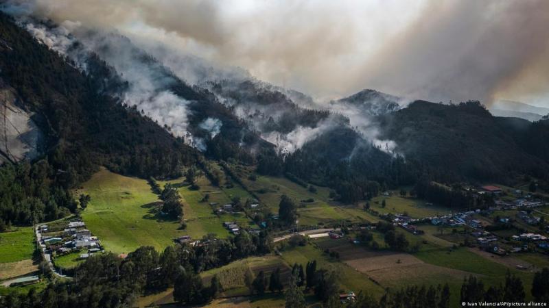 DW - La recuperación de los ecosistemas transformados y degradados en Colombia ayudaría a prevenir los incendios en los próximos fenómenos de El Niño.