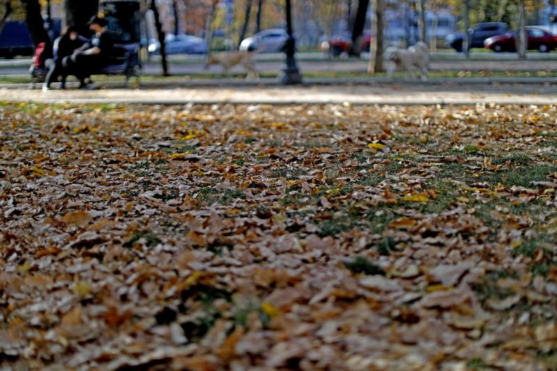 Agencia Uno - ¿Adiós al otoño? Altas temperaturas se mantendrían hasta abril