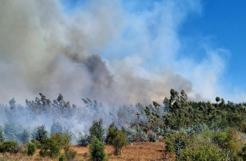 Incendios