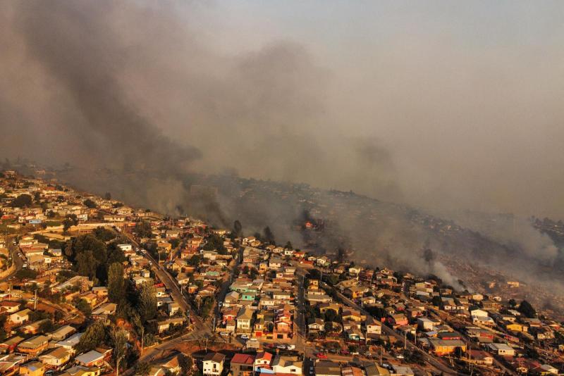 Incendio forestal en Viña del Mar - Agencia Uno