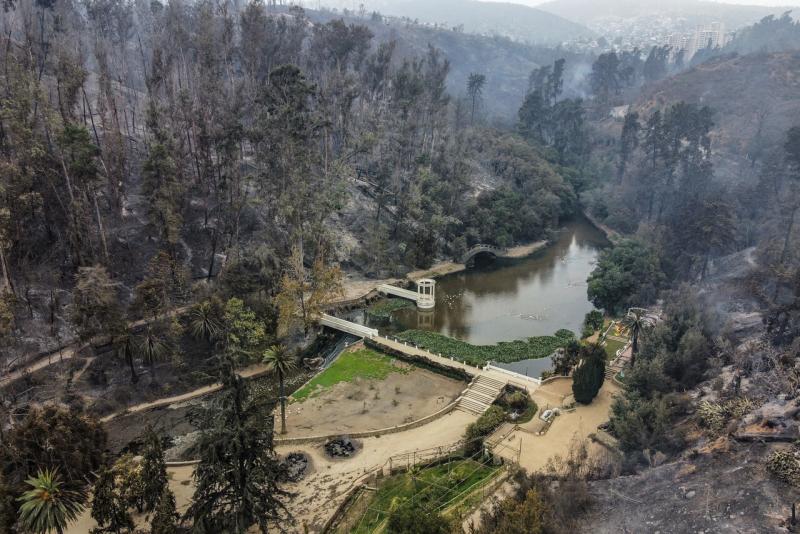 Así quedó el Jardín Botánico de Viña del Mar tras los incendios forestales