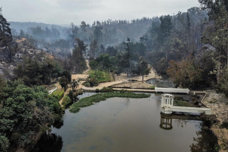 Así quedó el Jardín Botánico de Viña del Mar tras los incendios forestales