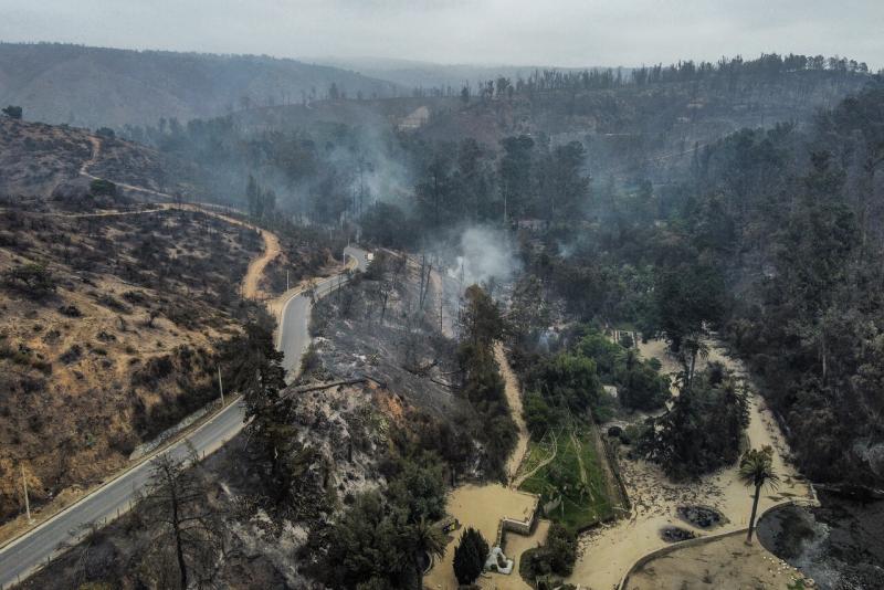 Así quedó el Jardín Botánico de Viña del Mar tras los incendios forestales