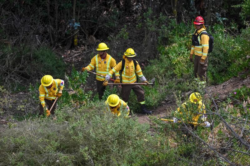Conaf trabajando en incendios forestales - Aton, referencial