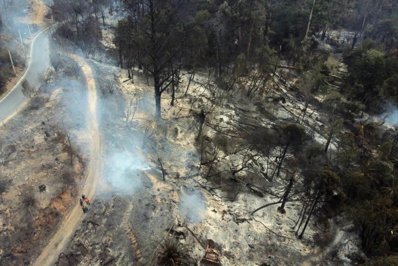 Incendio en Jardín Botánico Nacional de Viña del Mar