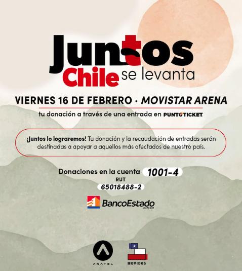 "Juntos Chile se levanta", la campaña para ayudar a los afectados por incendios forestales