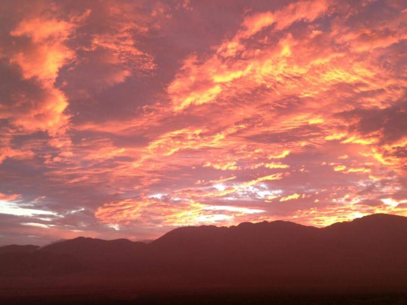 Las iniciativas que aportan a la conservación de la biodiversidad del Santuario de la Naturaleza Los Nogales