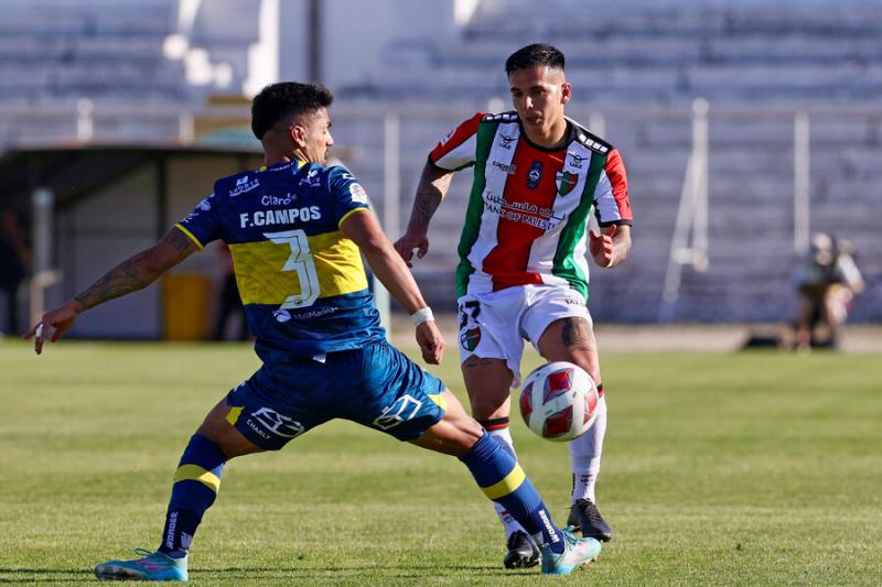 Suspenden el duelo entre Everton y Palestino del Campeonato Nacional 2024 - Crédito: Photosport.