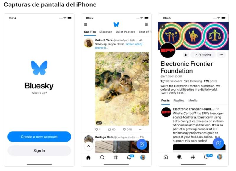 Bluesky pantallazos iPhone