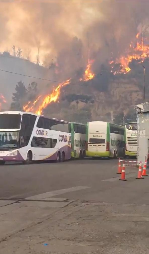 Incendio forestal pone en riesgo una bencinera y bodega de buses en Viña del Mar