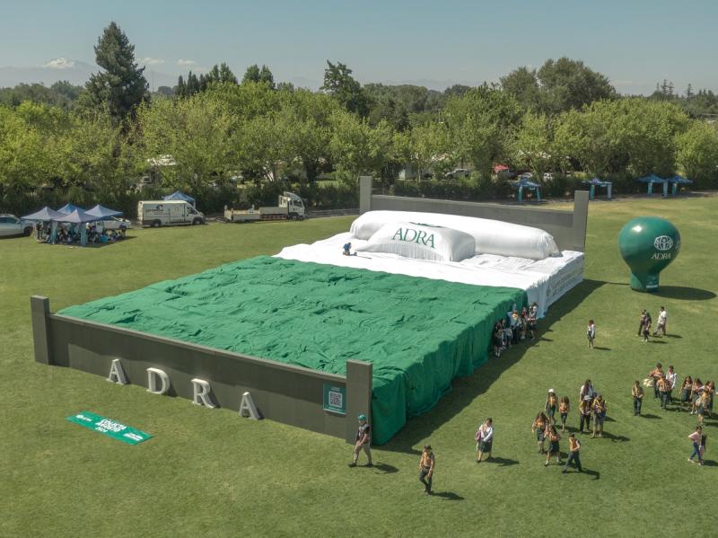 X (@ADRAIntl) - Cama más grande del mundo