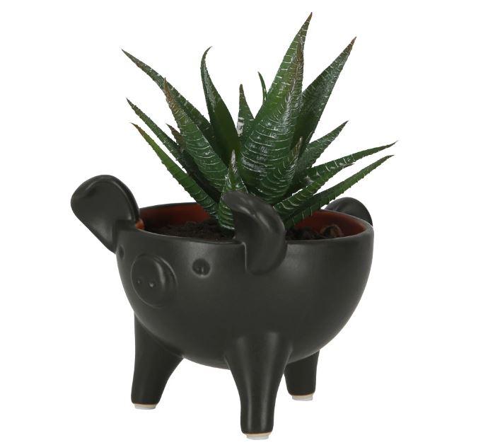 Municipalidad de Melipilla acusó a Casaideas de apropiación cultural por comercialización de figura similar al chanchito de greda