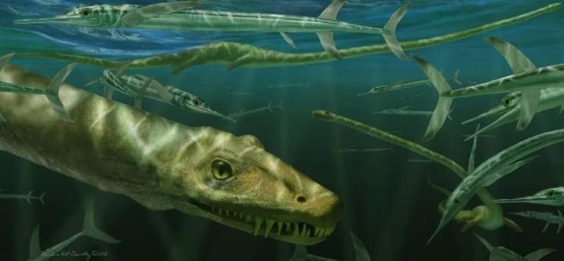 Recreación del Dinocephalosaurus antes de convertise en fósil