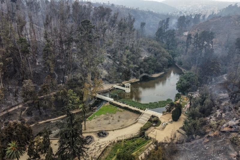 Agencia Uno - Incendio en el Jardín Botánico de Viña del Mar