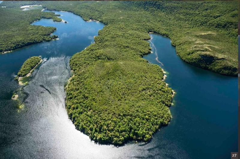 Venden por 35 millones de dólares "isla virgen" en el sur de Chile: Se trataría de la Isla Traiguén