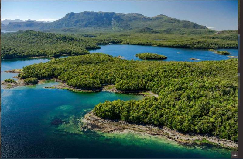 Venden por 35 millones de dólares "isla virgen" en el sur de Chile: Se trataría de la Isla Traiguén