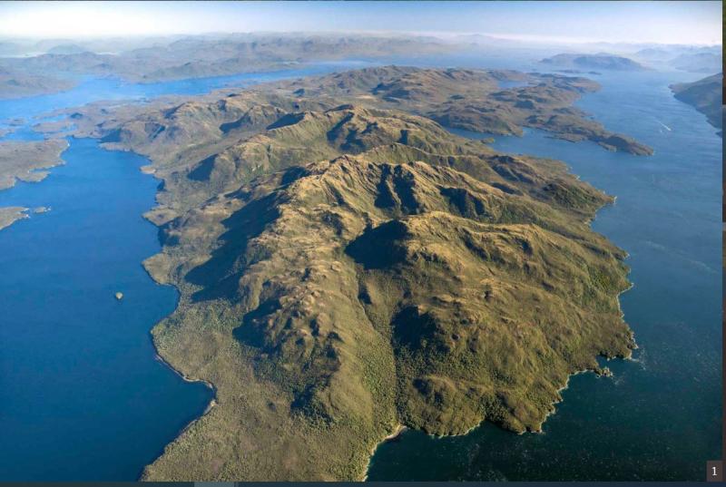 Venden por 35 millones de dólares "isla virgen" en el sur de Chile: Se trataría de la Isla Traiguén