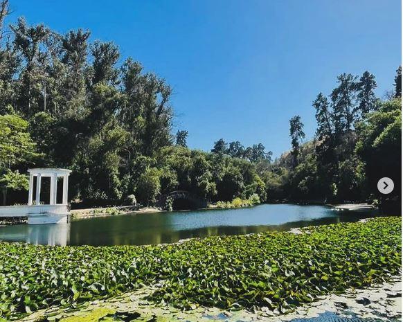 Identifican a trabajadora de Jardín Botánico de Viña del Mar que murió en incendio