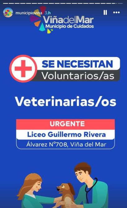 Municipalidad de Viña del Mar habilita espacios para mascotas