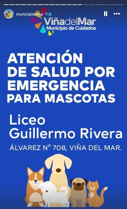 Municipalidad de Viña del Mar habilita espacios para mascotas