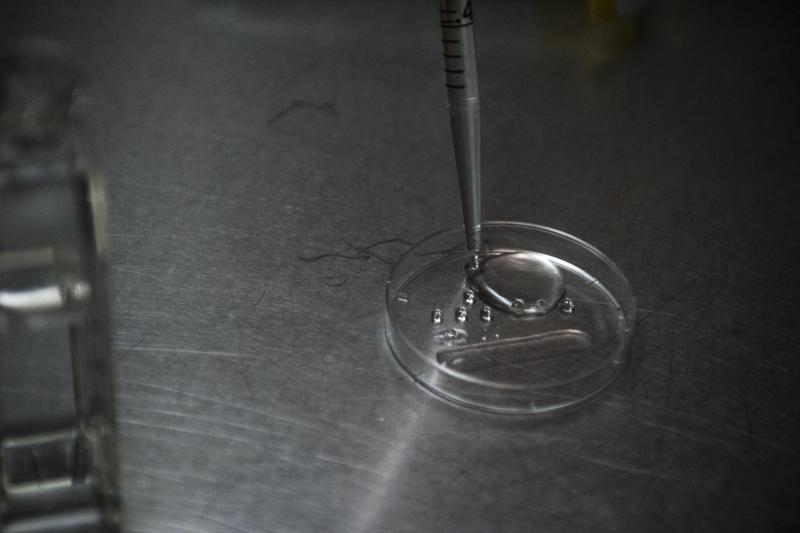 AFP - Mujer descubrió tras prueba de ADN que tiene 22 hermanos