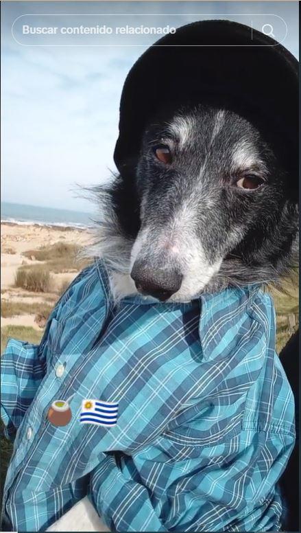 Celebración de cumpleaños 14 de un perrito motoquero saca lágrimas: “No existe amor más puro y leal”