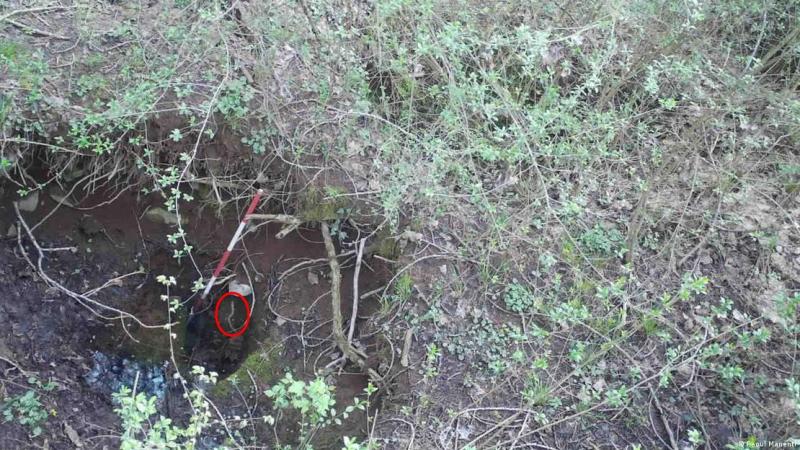 Imagen: Raoul Manenti