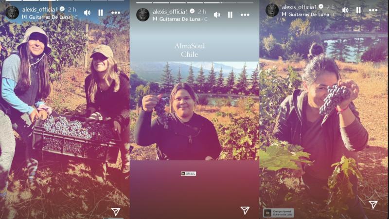 Alexis Sánchez compartió fotos de su viña - Créditos: Instagram