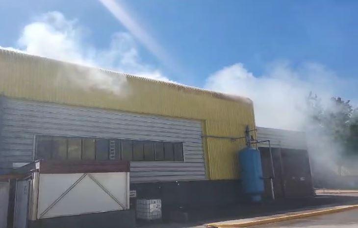 Reportan incendio en la CMPC de Talagante