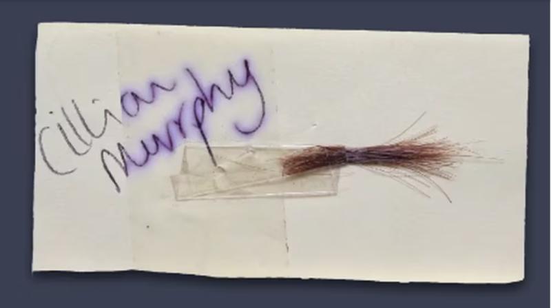 Mechón de pelo de Cillian Murphy - Paul Fraser Collectibles