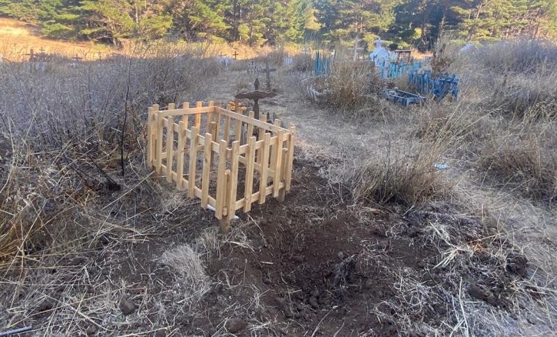 Cementerio de mascotas en Talcahuano - T13