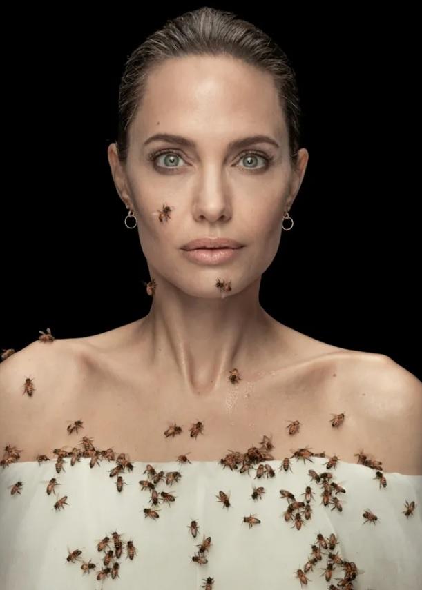 Sesión de fotos de Angelina Jolie repleta de abejas