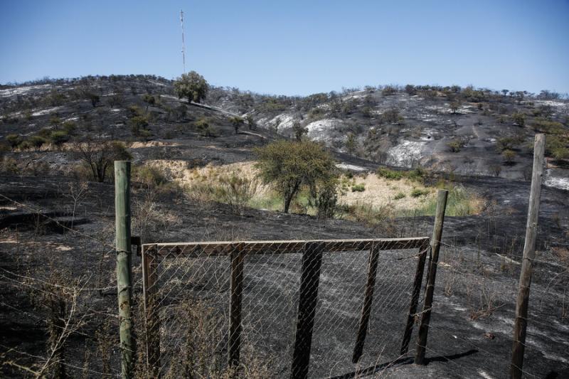 Agencia Uno - Ley de Incendios en Chile